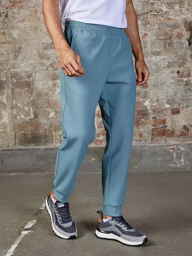 Брюки мужские "Strobbs" E2307-24